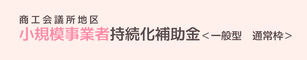 小規模事業者持続化補助金（一般型）第17回受付締切回
