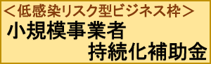 小規模事業者持続化補助金＜低感染リスク型ビジネス枠＞